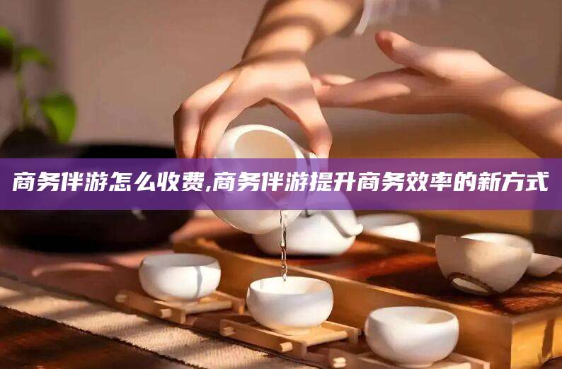 许昌商务伴游怎么收费,商务伴游提升商务效率的新方式